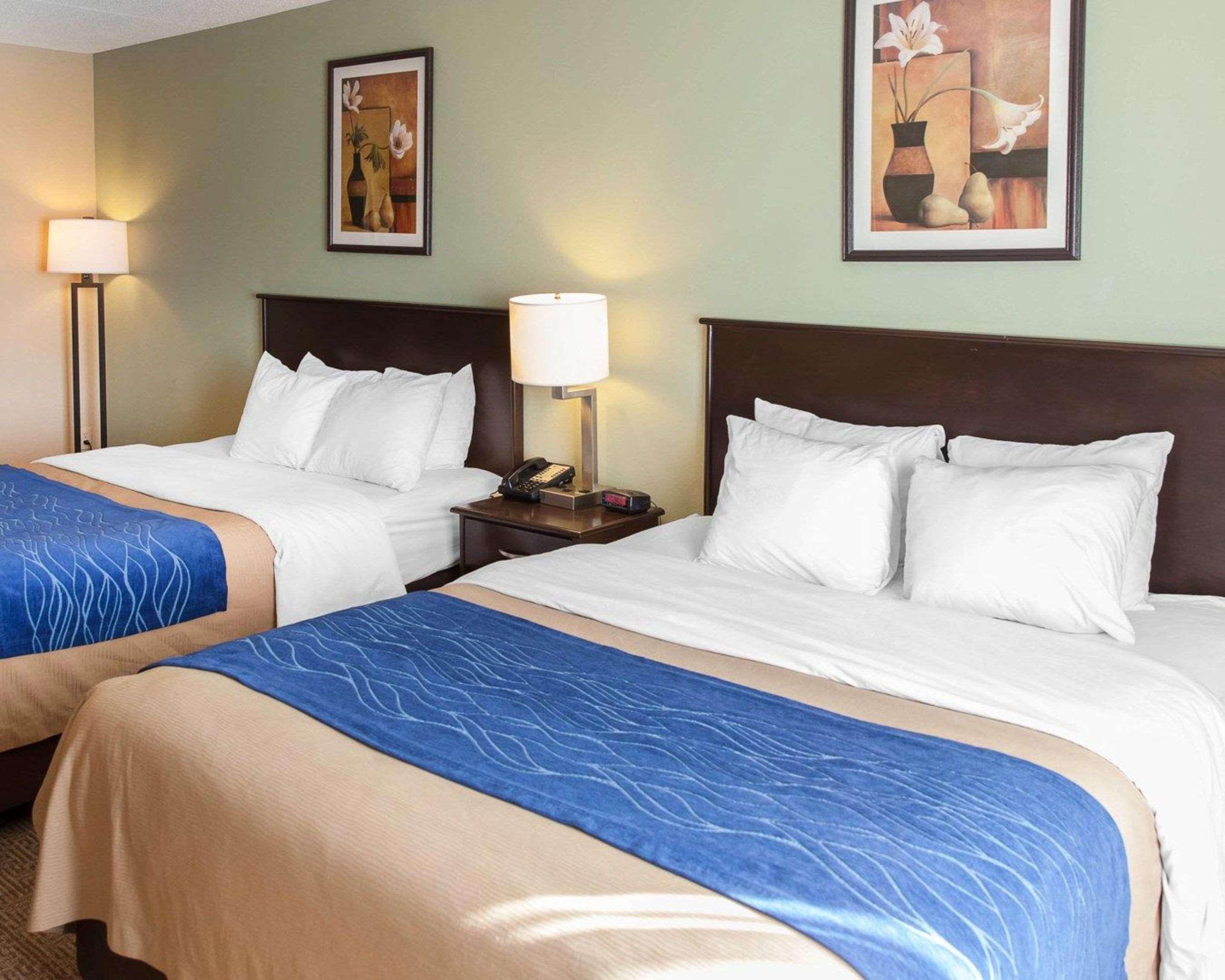 Comfort Inn Near Quantico Main Gate North Dumfries Extérieur photo