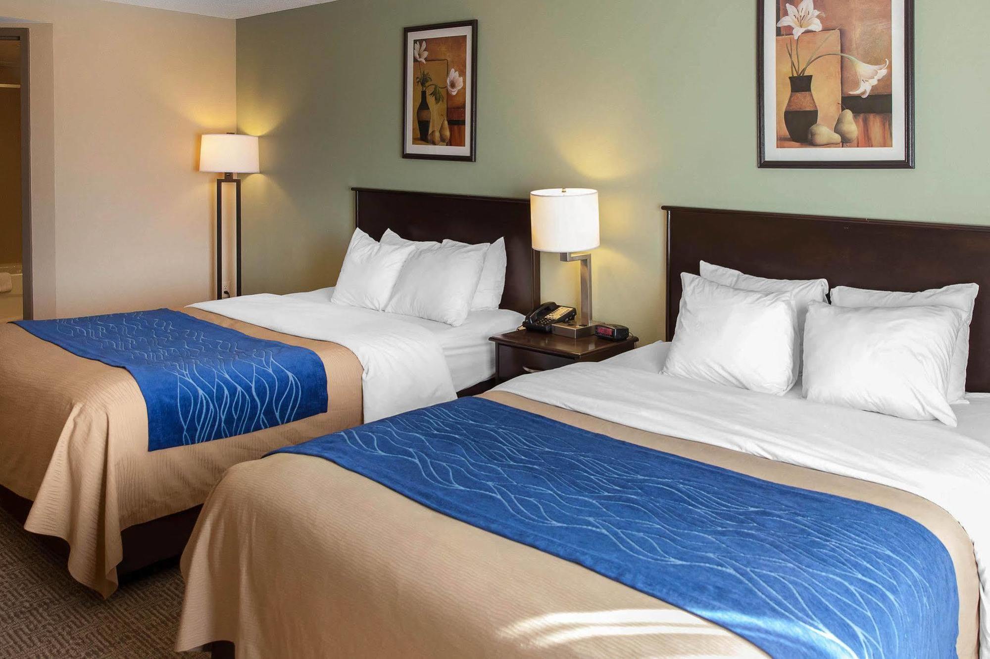 Comfort Inn Near Quantico Main Gate North Dumfries Extérieur photo